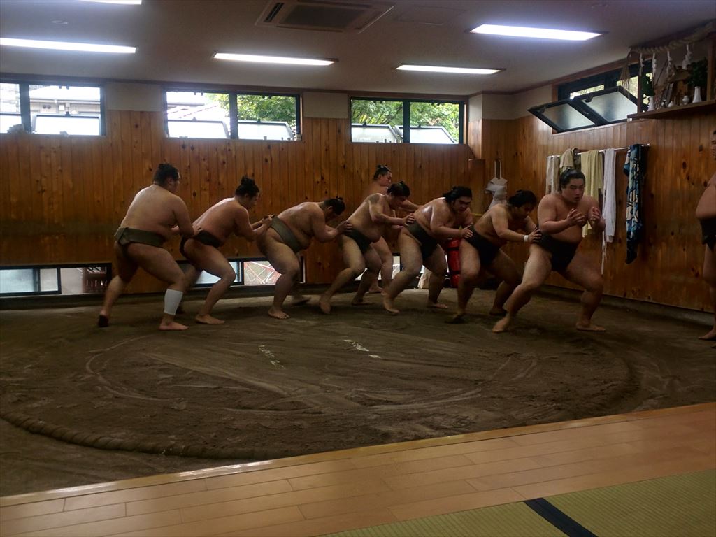 sumo morning training visit tokyo