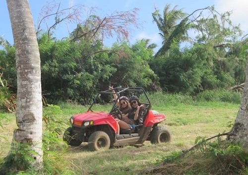 offroad buggy