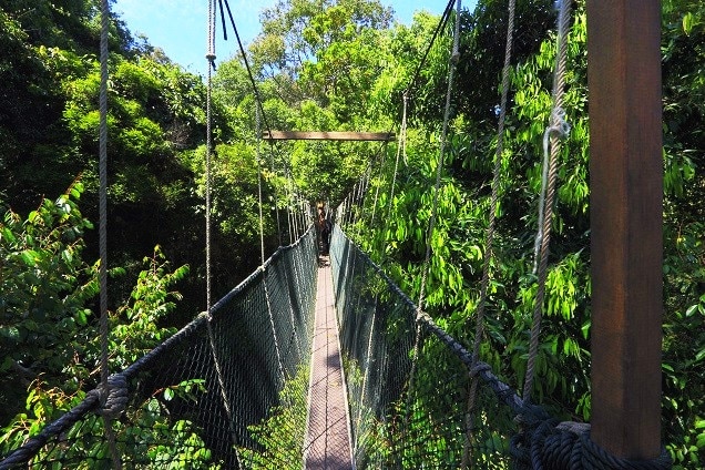 マレーシア在住者限定 Mutiara Taman Negera Resortに泊まる タマンネガラアクティビティコンボ2泊3日パッケージ クアラルンプール マレーシア のお得なオプショナルツアー Hisgo ポーランド