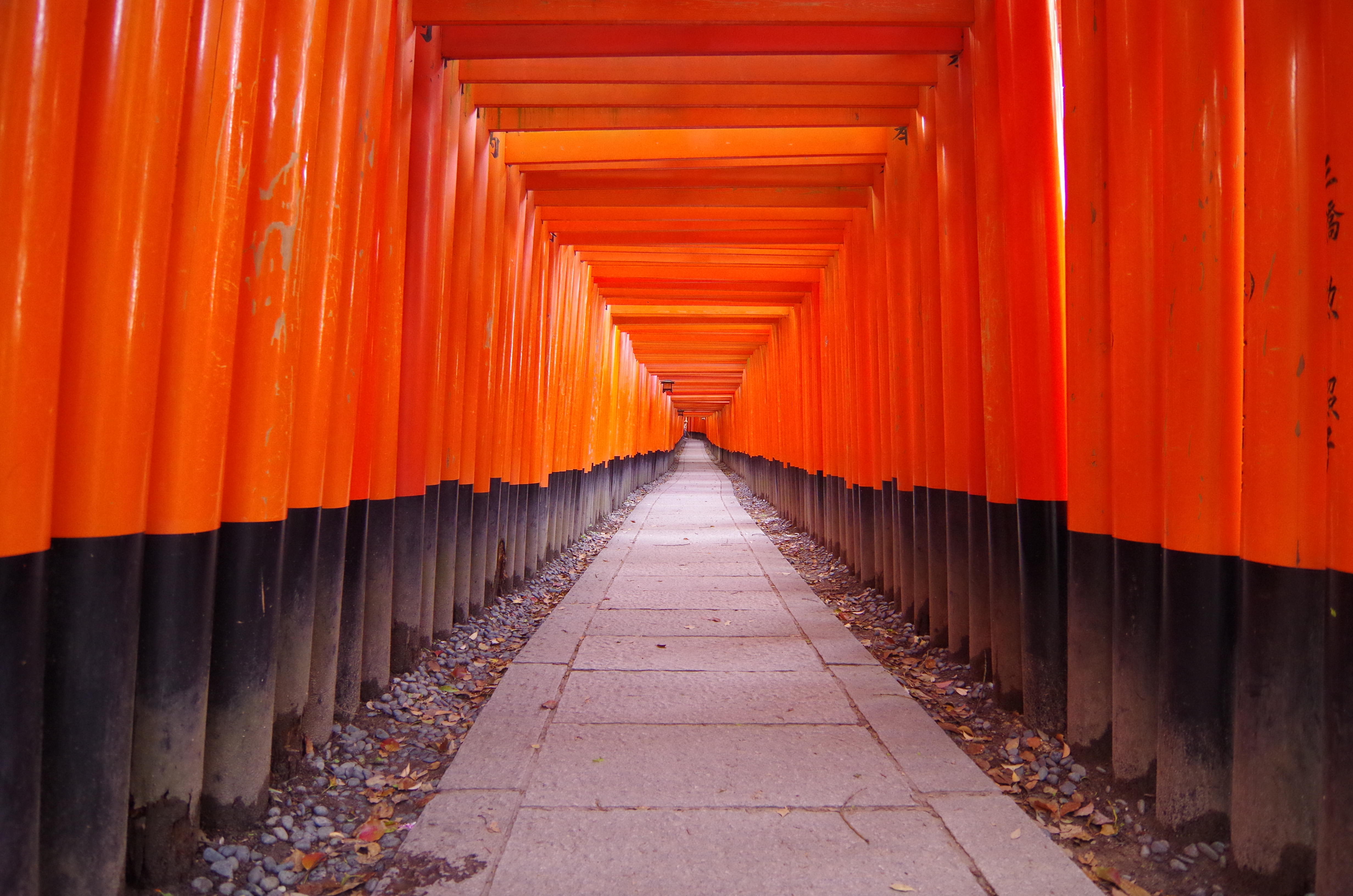 1 Day Sightseeing Tour At Kyoto Senbon Torii Of Fushimi Inari Shrine Gion Kiyomizu Sannenzaka Things To Do In Nagoya Japan Hisgo U S A