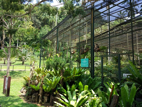 ペナン植物園 エントピア バタフライファーム ツアー 昼食は付きません ペナン島 マレーシア のお得なオプショナルツアー Hisgo アメリカ