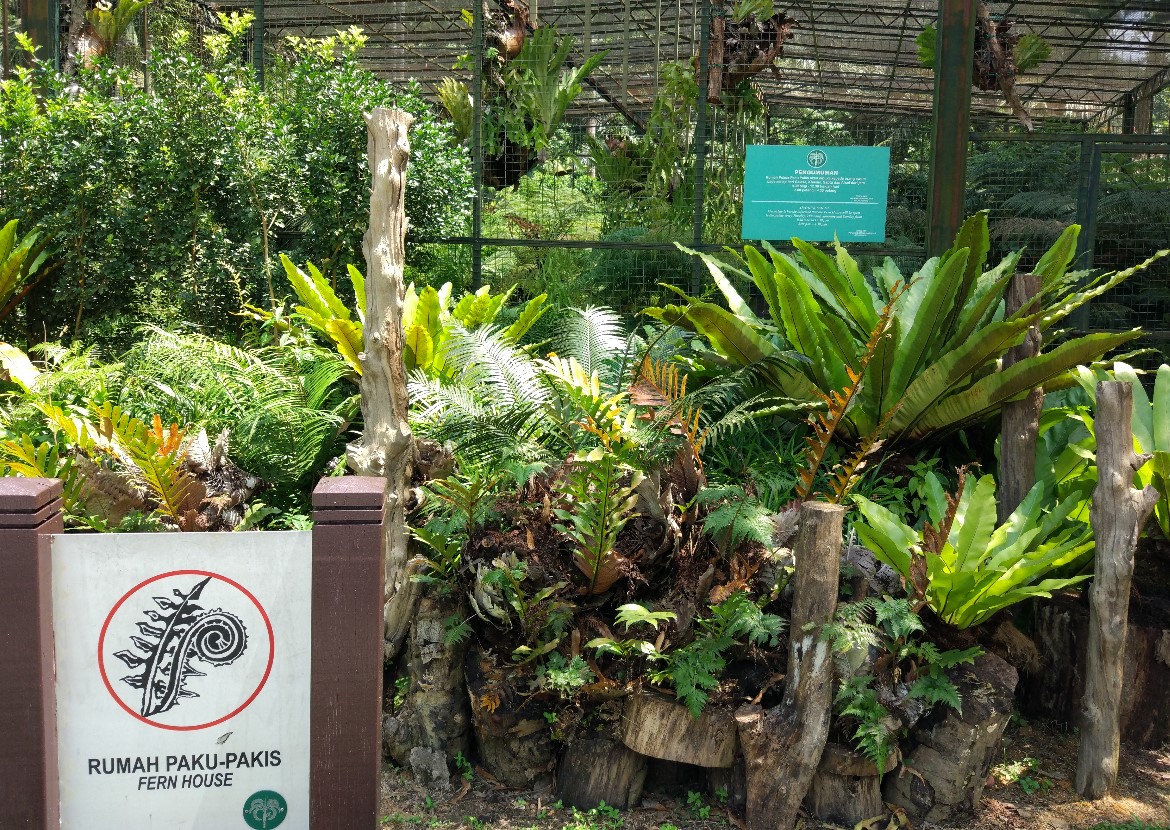 ペナン植物園 エントピア バタフライファーム ツアー 昼食は付きません ペナン島 マレーシア のお得なオプショナルツアー Hisgo アメリカ