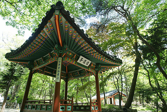 満喫 3大世界文化遺産巡り 昌徳宮 宗廟 水原華城 華城行宮 北村 1日ツアー 韓定食昼食付き ソウル 韓国 のお得なオプショナルツアー Hisgo アメリカ