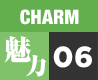 CHARM 06