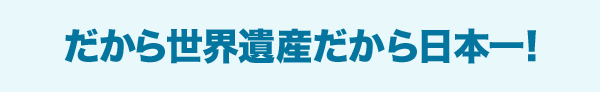 だから世界遺産だから日本一！